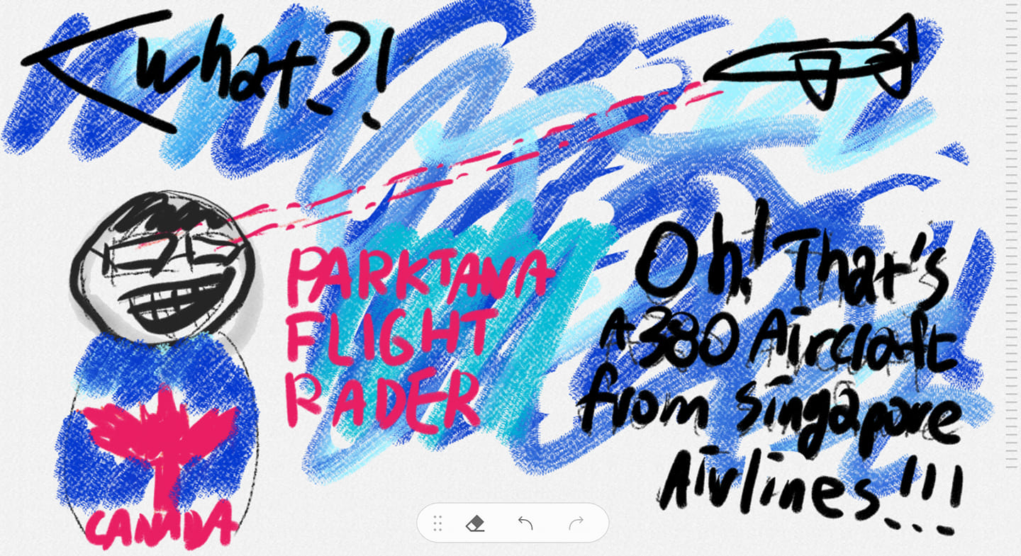 Picket for Parktana at Microsoft Ignite the tour Seoul 2020